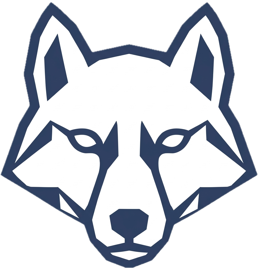 wAIse logo